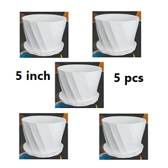 Picture of Camelia White Planter 5 Inchi 5 Pcs with Tray