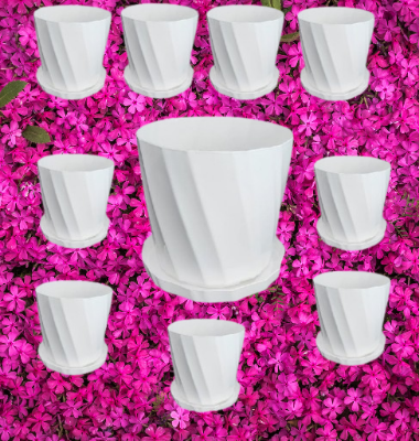 Picture of Camelia White Planter 5 Inchi 10 Pcs with Tray