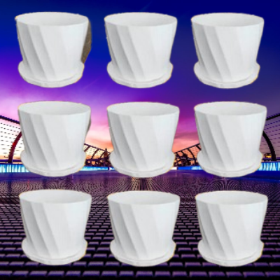 Picture of Camelia White Planter 5 Inchi 10 Pcs with Tray