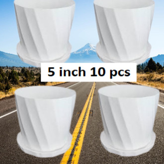 Picture of Camelia White Planter 5 Inchi 10 Pcs with Tray