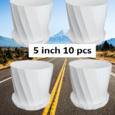 Picture of Camelia White Planter 5 Inchi 10 Pcs with Tray