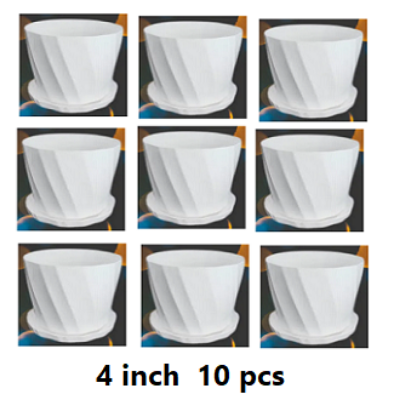 Picture of Bp Camelia Planters White 4 Inchi  of (10 pcs With Tray)