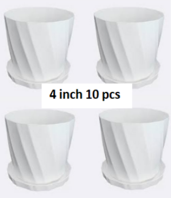Picture of Bp Camelia Planters White 4 Inchi  of (10 pcs With Tray)