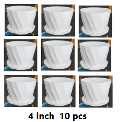Picture of Bp Camelia Planters White 4 Inchi  of (10 pcs With Tray)