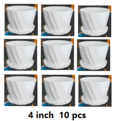 Picture of Bp Camelia Planters White 4 Inchi  of (10 pcs With Tray)