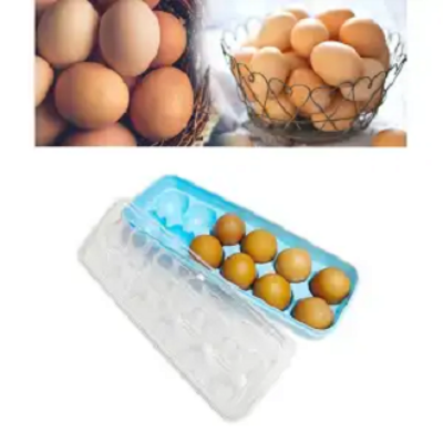 Picture of Egg Tray Large, 12 Eggs Dispenser Holder Eggs Storage Container Box Large 1 Dozen Capacity Plastic Tray