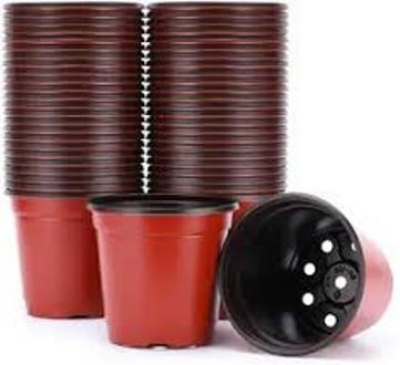 Picture of Plastic Nursery Pots Two-color Succulent Flower Pot 50 Pcs(3.5 Inchi)
