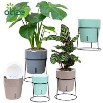 Picture of Self Watering Pots with Metal Plant Stand 5.1"