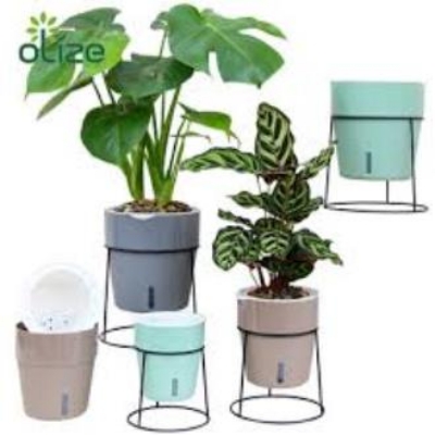 Picture of Self Watering Pots with Metal Plant Stand 5.1"