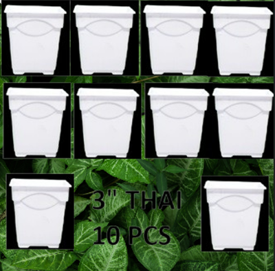 Picture of Flower Pot-3Inchi White Thai Planter For Indoor plant 10 pcs