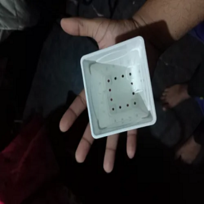 Picture of Flower Pot-3Inchi White Thai Planter For Indoor plant 10 pcs