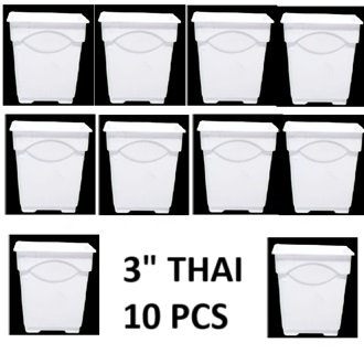 Picture of Flower Pot-3Inchi White Thai Planter For Indoor plant 10 pcs