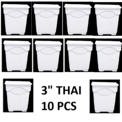 Picture of Flower Pot-3Inchi White Thai Planter For Indoor plant 10 pcs