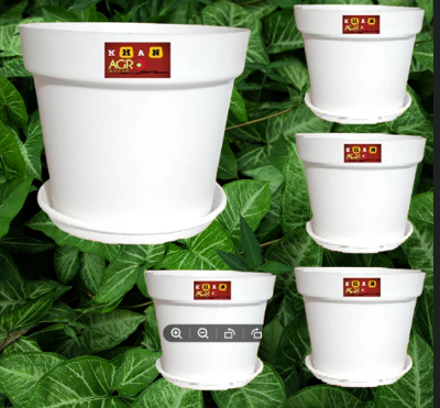 Picture of 10 Inchi White Mat Tob With Tray 4 pcs