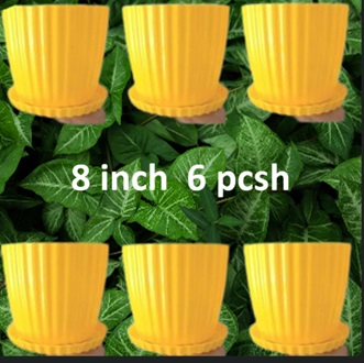 Picture of 8 Inchi Yellow Flower Planter with tray 6 Pcs