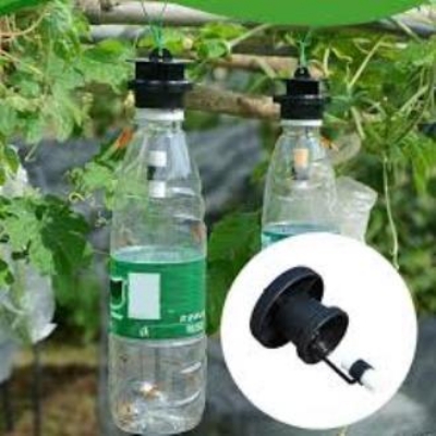 Picture of Fruit Fly Trap with Attractant Effective Easy Organic Lure Pest Control