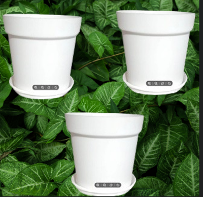 Picture of 10 Inchi White coler Mat Tob With Tray 3 pcs