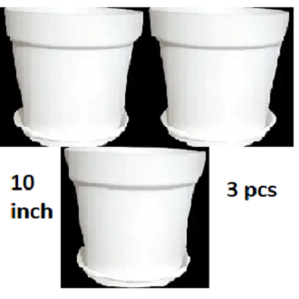 Picture of 10 Inchi White coler Mat Tob With Tray 3 pcs