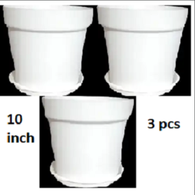 Picture of 10 Inchi White coler Mat Tob With Tray 3 pcs