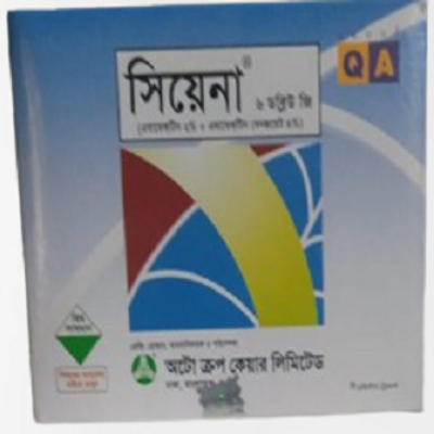 Picture of 10 pics (1 box সিয়েনা -১০গ্রাম )