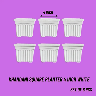 Picture of 4 Inch Khandani Square Planter  white coler Bp - (6 pcs set )