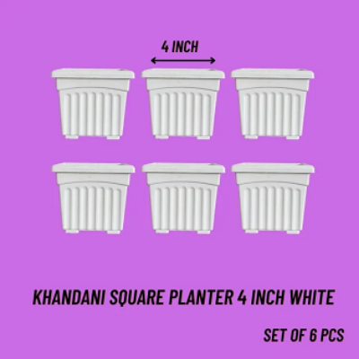 Picture of 4 Inch Khandani Square Planter  white coler Bp - (6 pcs set )