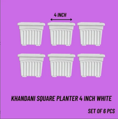 Picture of 4 Inch Khandani Square Planter  white coler Bp - (6 pcs set )
