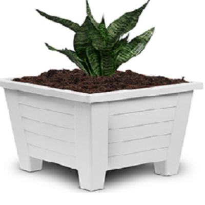Picture of BP plastic 12.5 cm square planter white coler  10 pcs