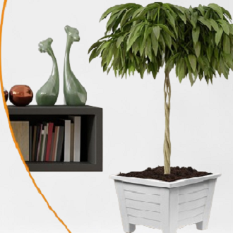 Picture of BP plastic 12.5 cm square planter white coler  10 pcs