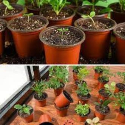 Picture of ( 3.5 inch-  30 pcs ) Nursery Supplies Planter plastic  Pot