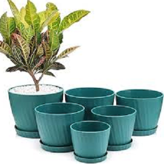 Picture of 5 Inch Camellia Planter With Tray - 6 Pcs