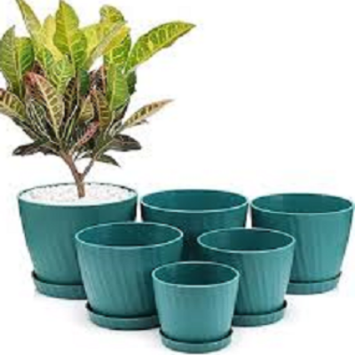 Picture of 5 Inch Camellia Planter With Tray - 6 Pcs