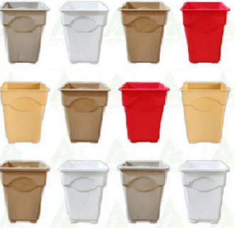 Picture of 2.5 Inch Thai Top - 12 Pcs