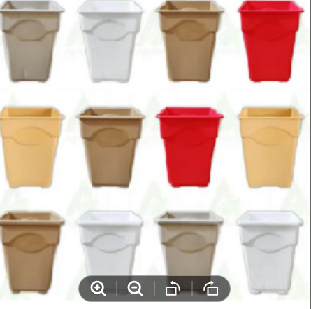 Picture of 2.5 Inch Thai Top - 12 Pcs