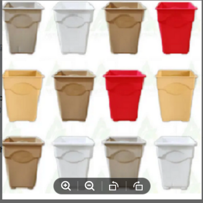 Picture of 2.5 Inch Thai Top - 12 Pcs