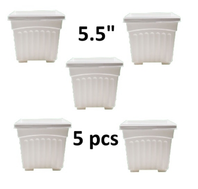 Picture of Bp khandani square planter flower tub white( 5.5 inch -5 pcs )