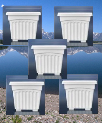 Picture of Bp khandani square planter flower tub white( 5.5 inch -5 pcs )