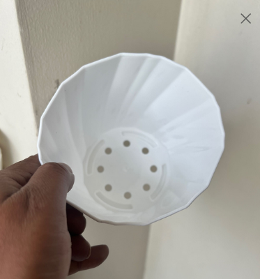 Picture of Bp Camelia Planters White 4 Inchi set of 8 pcs With Tray