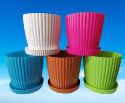 Picture of Colourfull Indoor Platers( 5 Pcs 6 Inchi With tray)