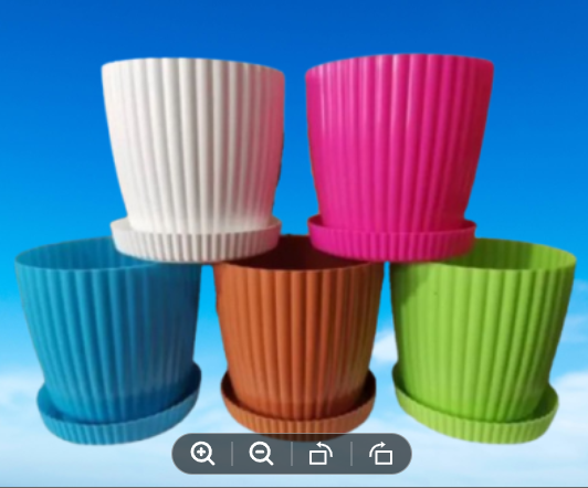 Picture of Colourfull Indoor Platers( 5 Pcs 6 Inchi With tray)
