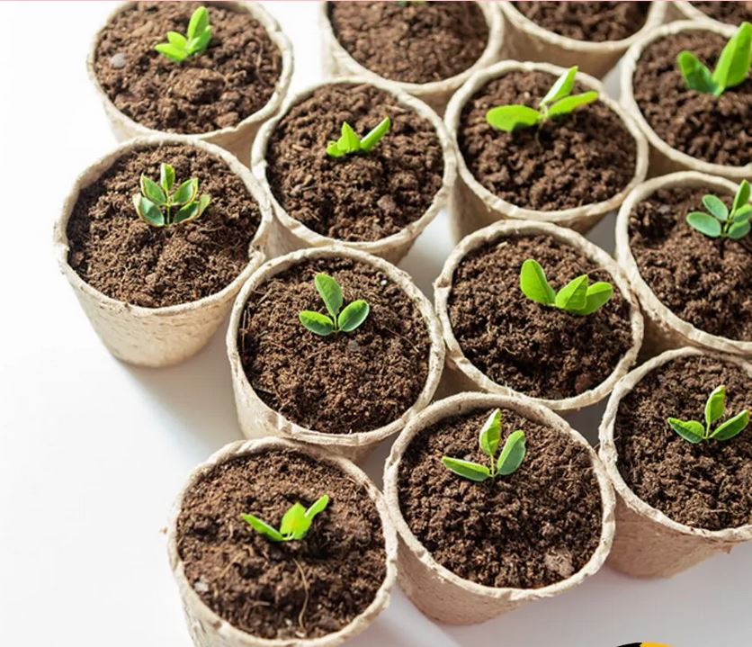 Picture of Coco Peat Block-Expandable Block 2kg +Cocopit Block(Imported) expand up to 16kg