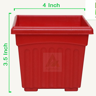 Picture of 4 Inch Khandani Square Planter - (4 PCS)