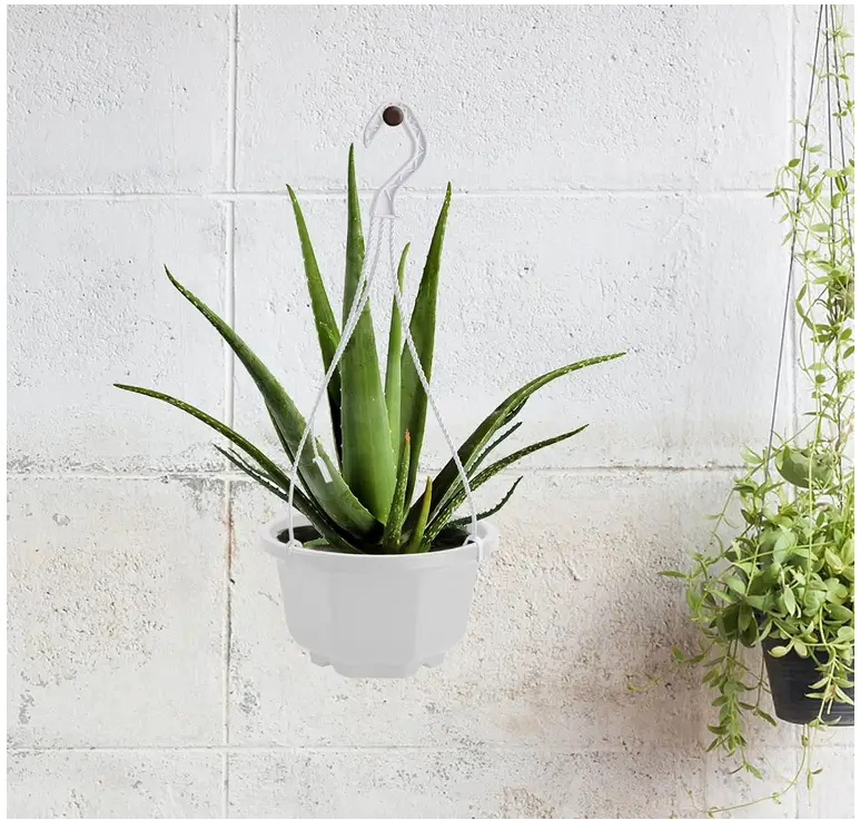 Picture of Balcony Plant Pot Home Garden Flower Planter Hanging Plastic Pot   5 pcs