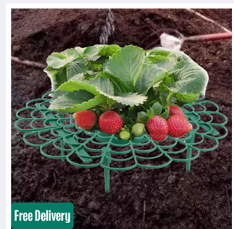 Picture of Storage Rk Shatterproof Growing Improvement Stand