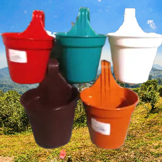 Picture of 4.5 Inchi grill planters 5pcs Mix colour