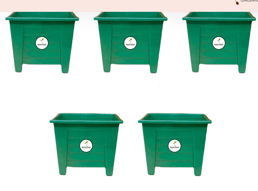 Picture of Flower Pot 5 Inchi  5 Pcs