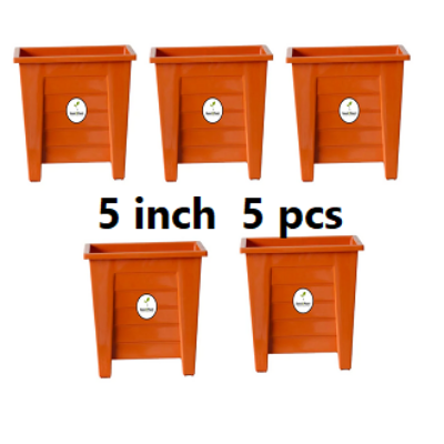 Picture of Flower Pot 5 Inchi 5 Pcs