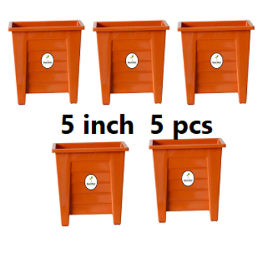 Picture of Flower Pot 5 Inchi 5 Pcs