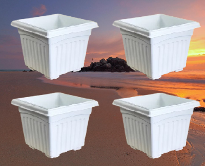 Picture of 10 Inchi Square Tob White coller 4 pcs Set