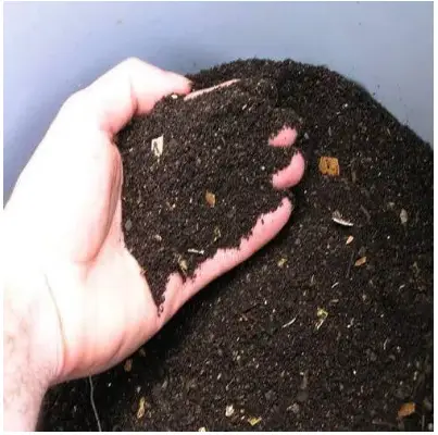 Picture of Vermicompost (ভার্মি কম্পোস্ট / কেঁচো সার)-1 kg